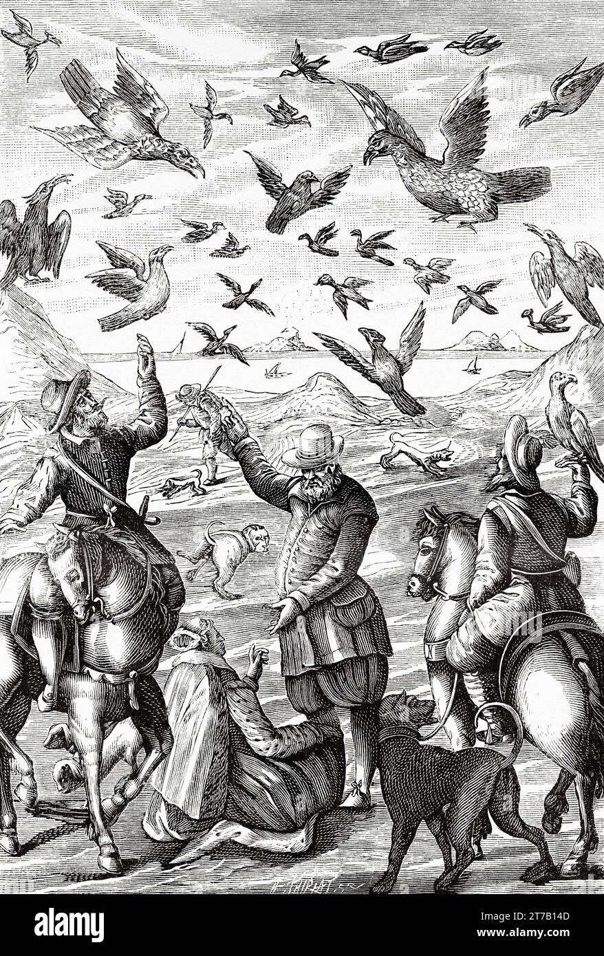 Falcon hunting in 1630. Old illustration from La Nature 1887 Stock Photo