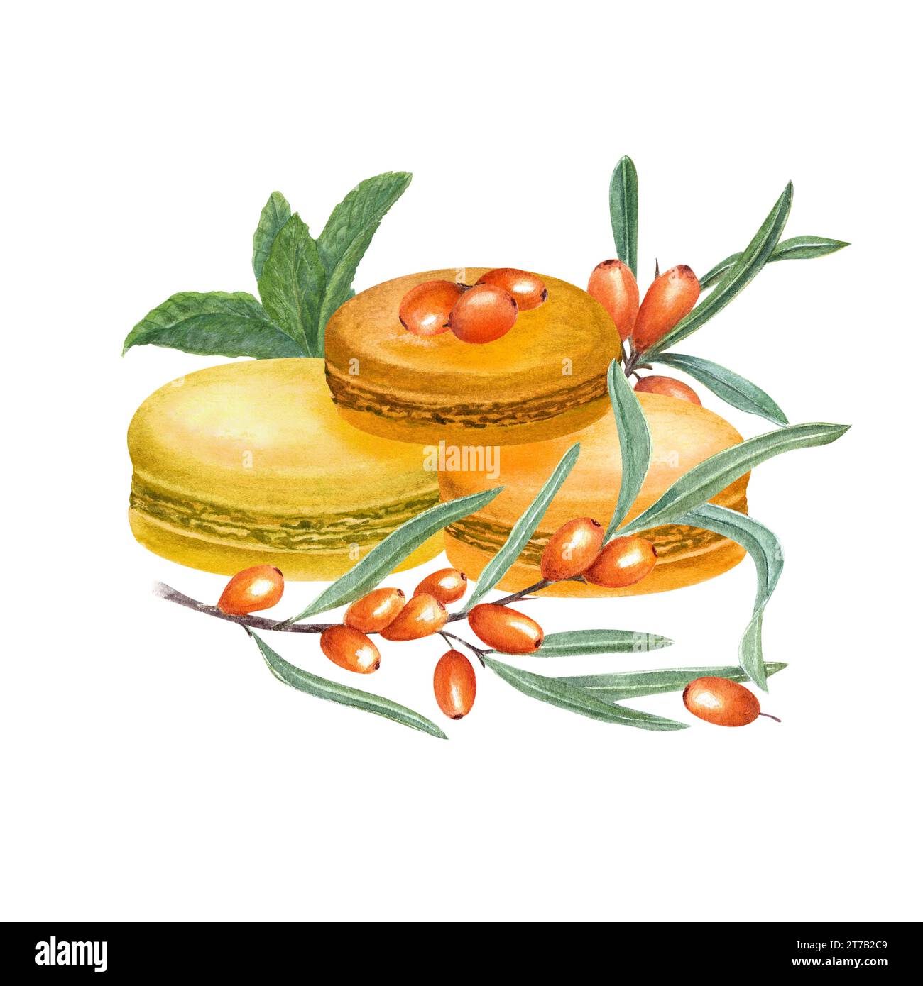 Traditional French macarons. Orange almond cookies, macaroon cake. Sea
