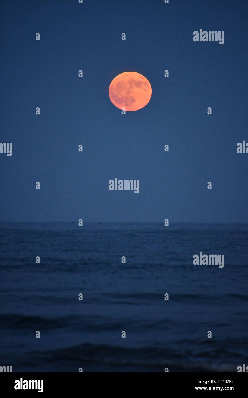 Full Moon, Clonea Beach, Clonea, County Waterford, Ireland Stock Photo