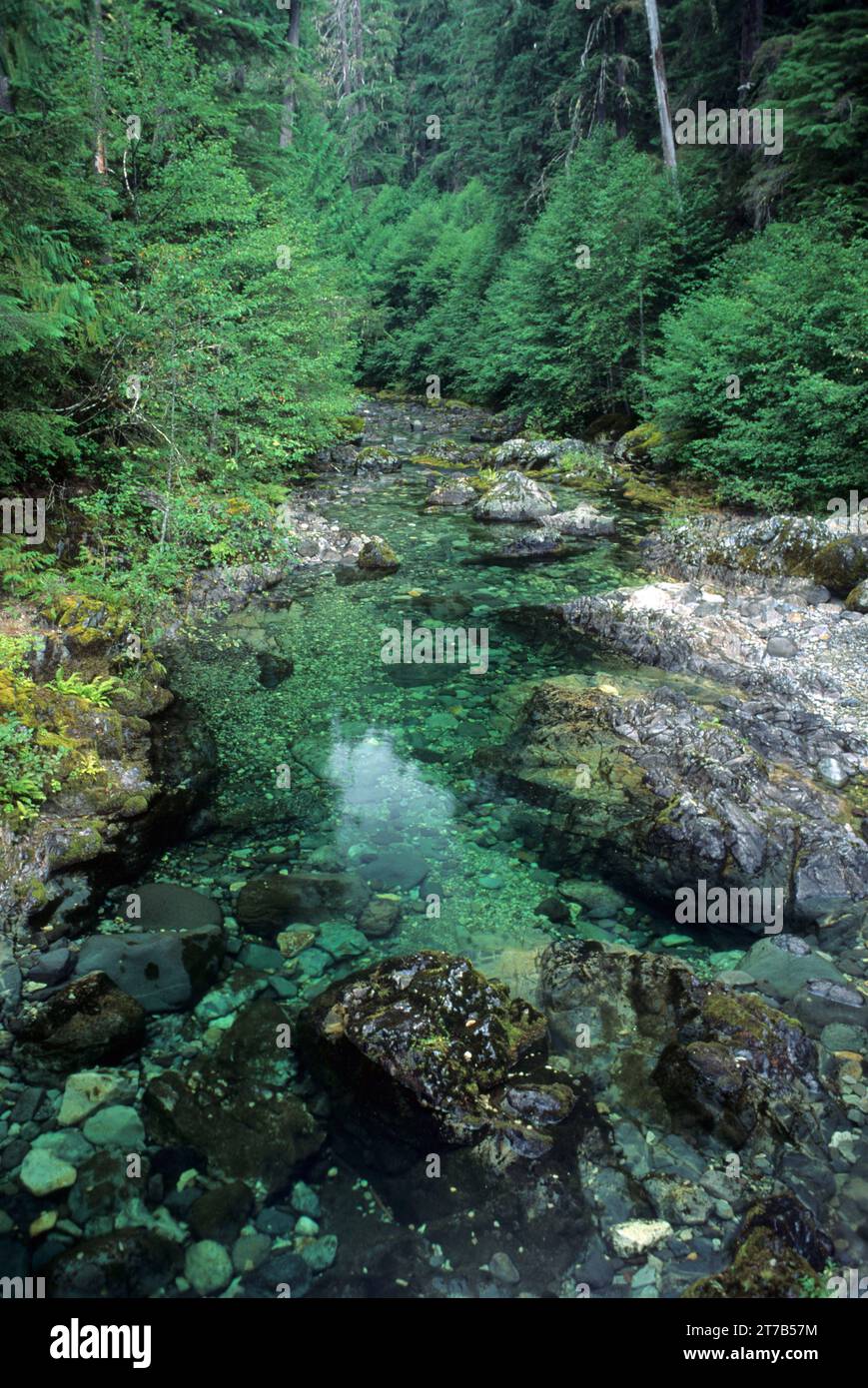 Little North Fork Santiam River State Scenic Waterway, Opal Creek Scenic Recreation Area, Willamette National Forest, Oregon Stock Photo
