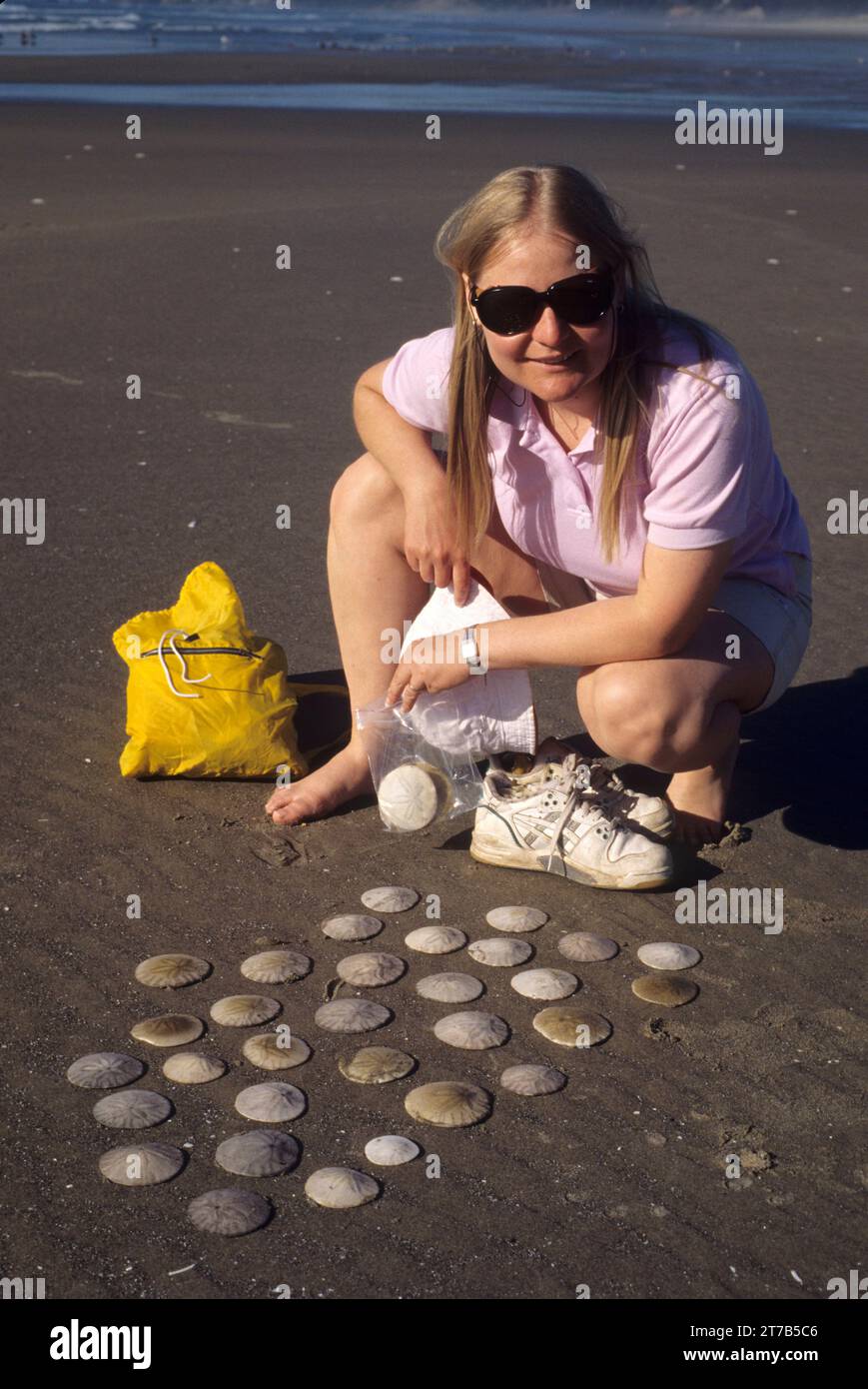 Netarts Spit beach sand dollars, Cape Lookout State Park, Oregon Stock Photo Alamy