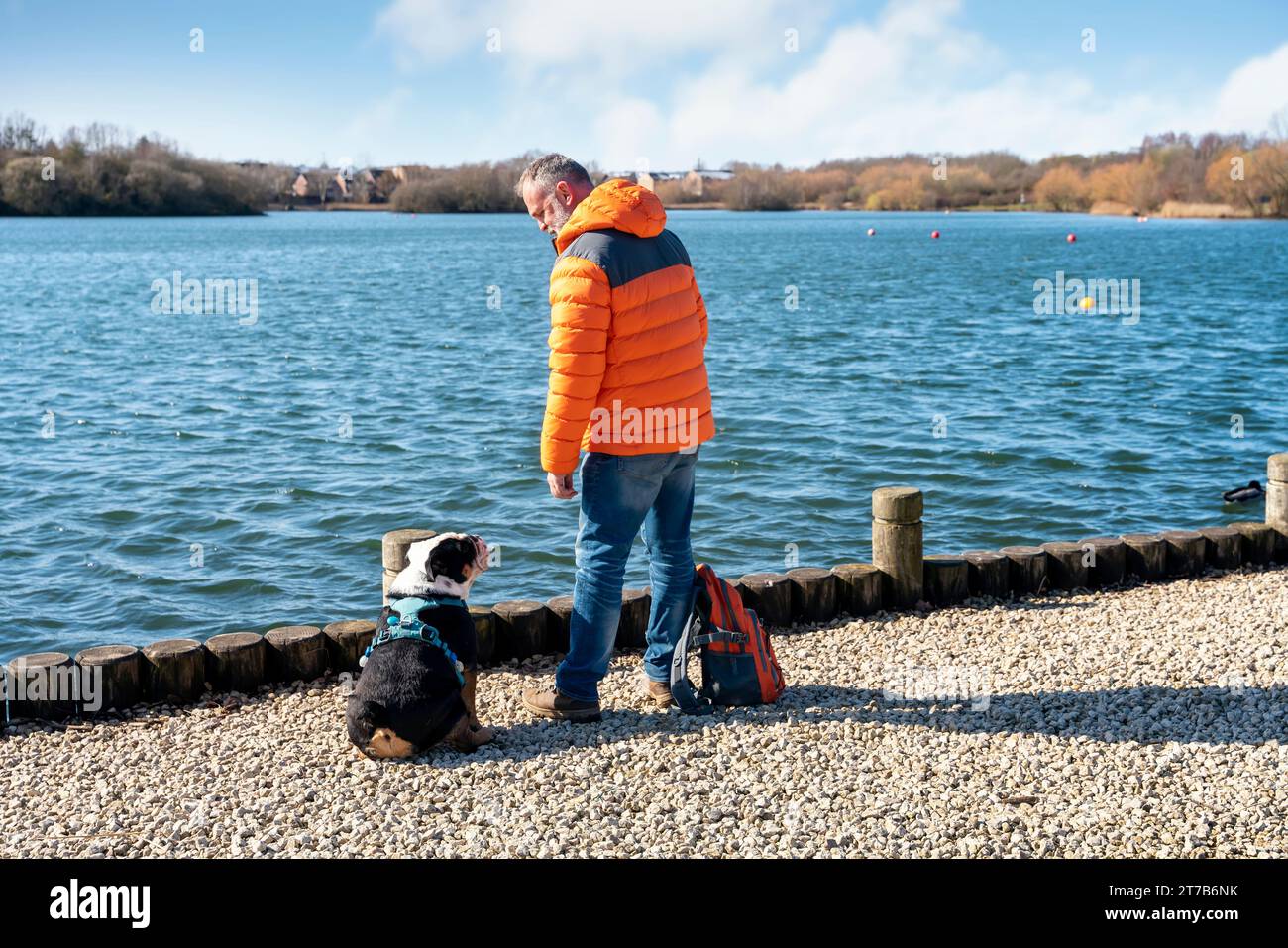 A happy pensioner in orange coat and rucksack with an English bulldog on lakeshore, going for a walk  on spring worm day. Dog training. Free time in r Stock Photo