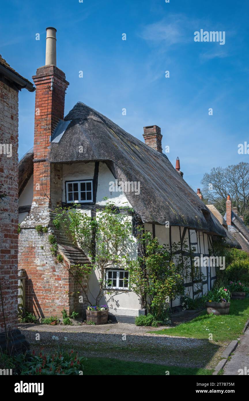 Traditional timber framed thatched cottages in Church Street, Wherwell