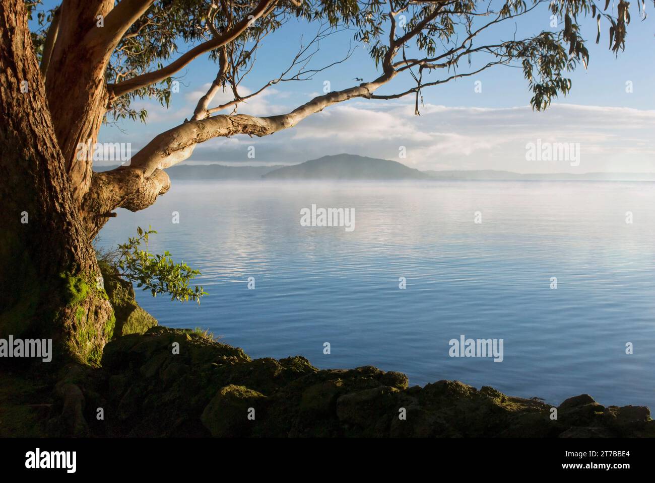 Early morning at Lake Rotorua lakefront with Mokoia Island in the distance Stock Photo