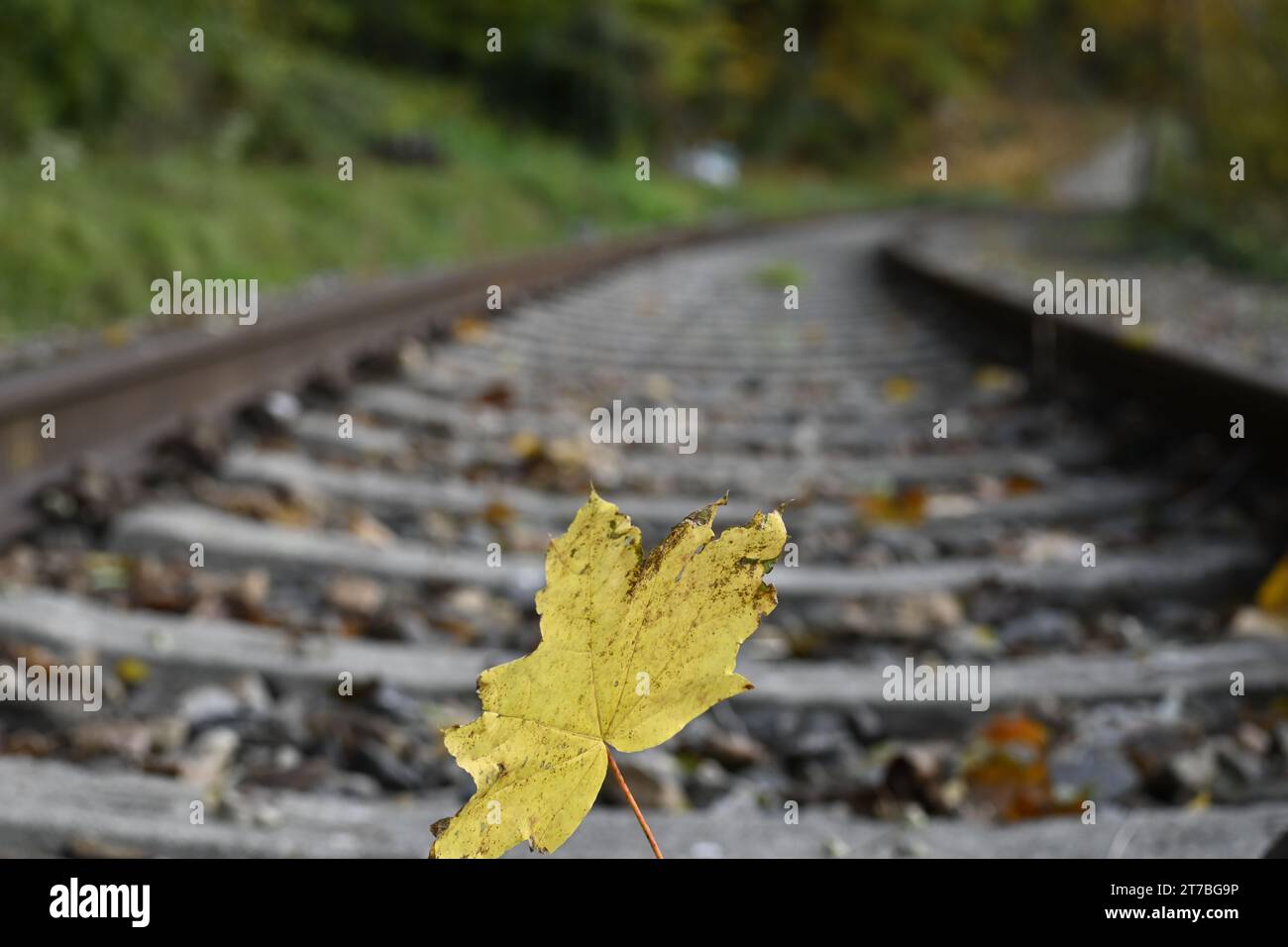 Leave rails hi-res stock photography and images - Alamy