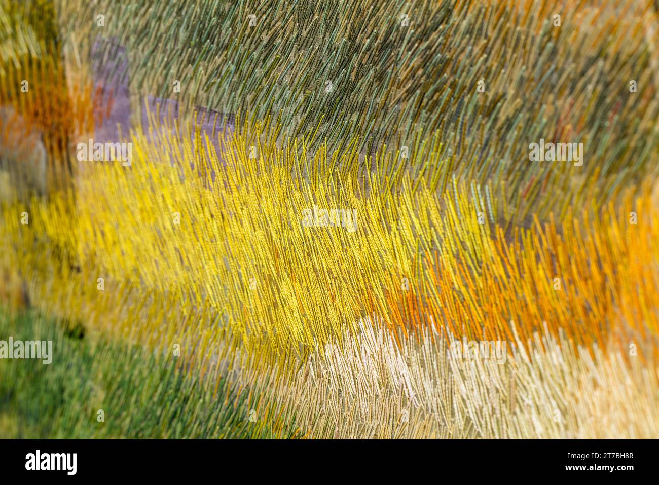 Graphic abstract close-up of fiber art piece by Carolyn Nelson Stock Photo