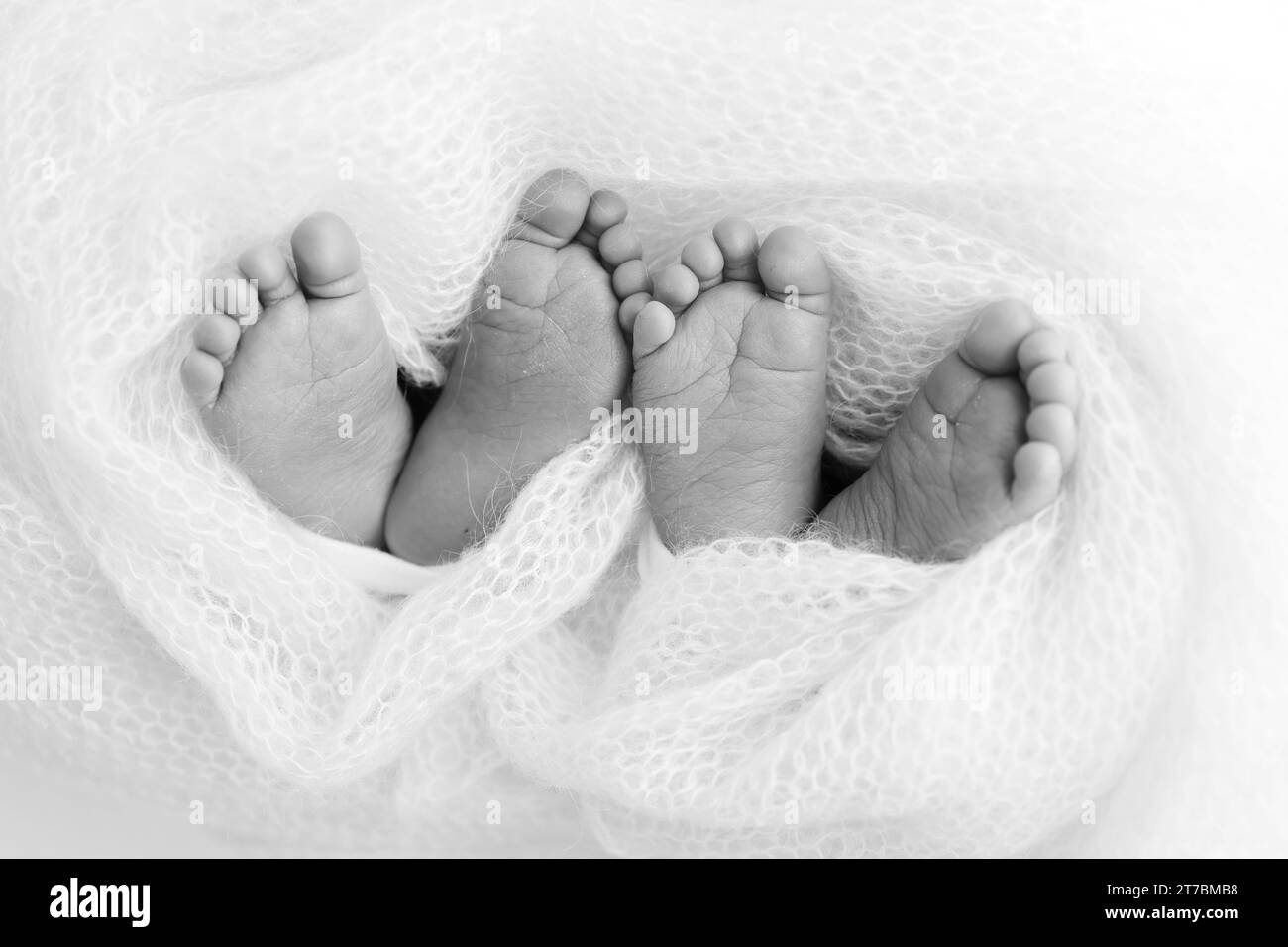 Legs, toes, feet and heels of newborn twins. Two newborns. Black and