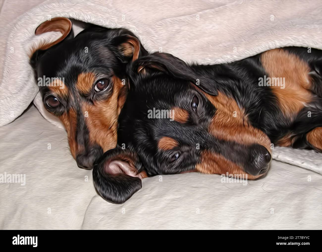 Digital Oil Painting of two short haired black and tan dachshund dogs on blanket Stock Photo