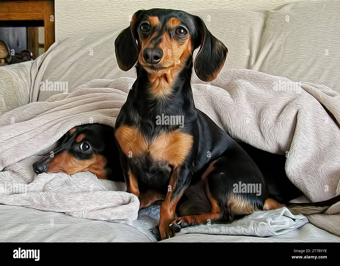 Digital Oil Painting of two short haired black and tan dachshund dogs on blanket Stock Photo