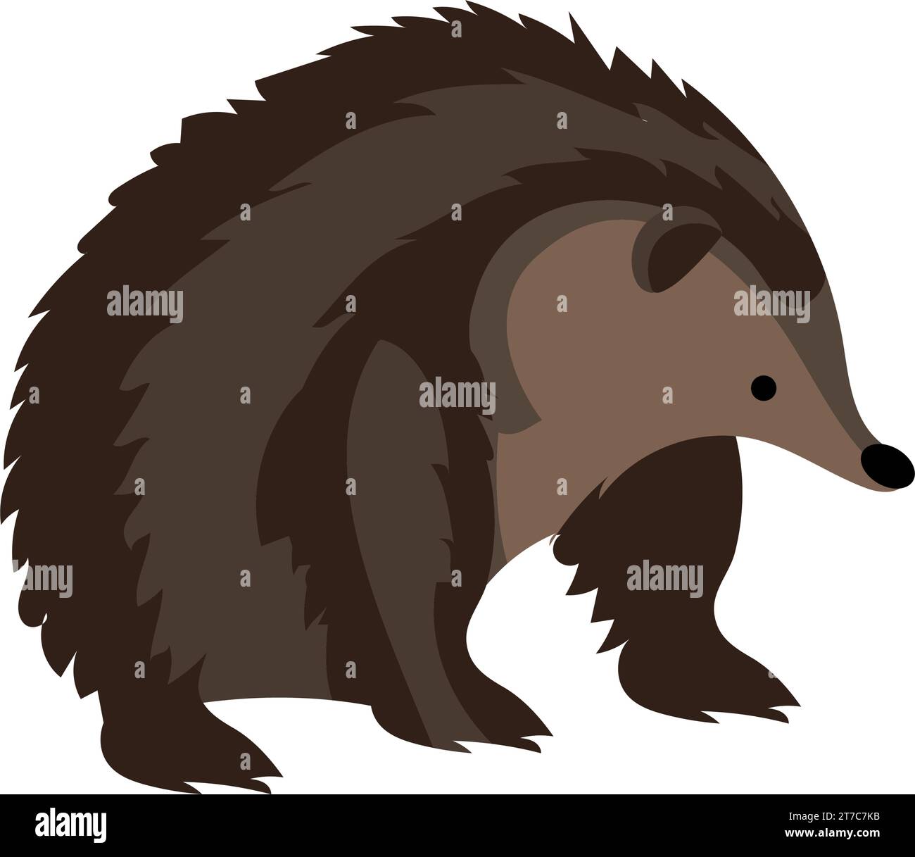 australia animal echidna Stock Vector Image & Art - Alamy