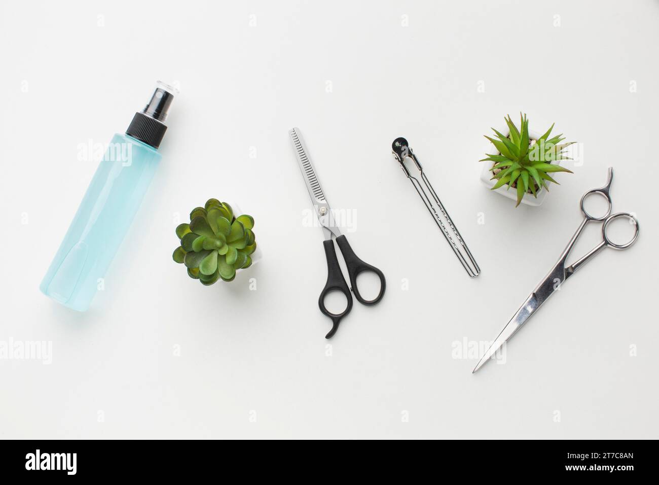 Y'all he HATES to be groomed ... so his hair is wild right now in his ...