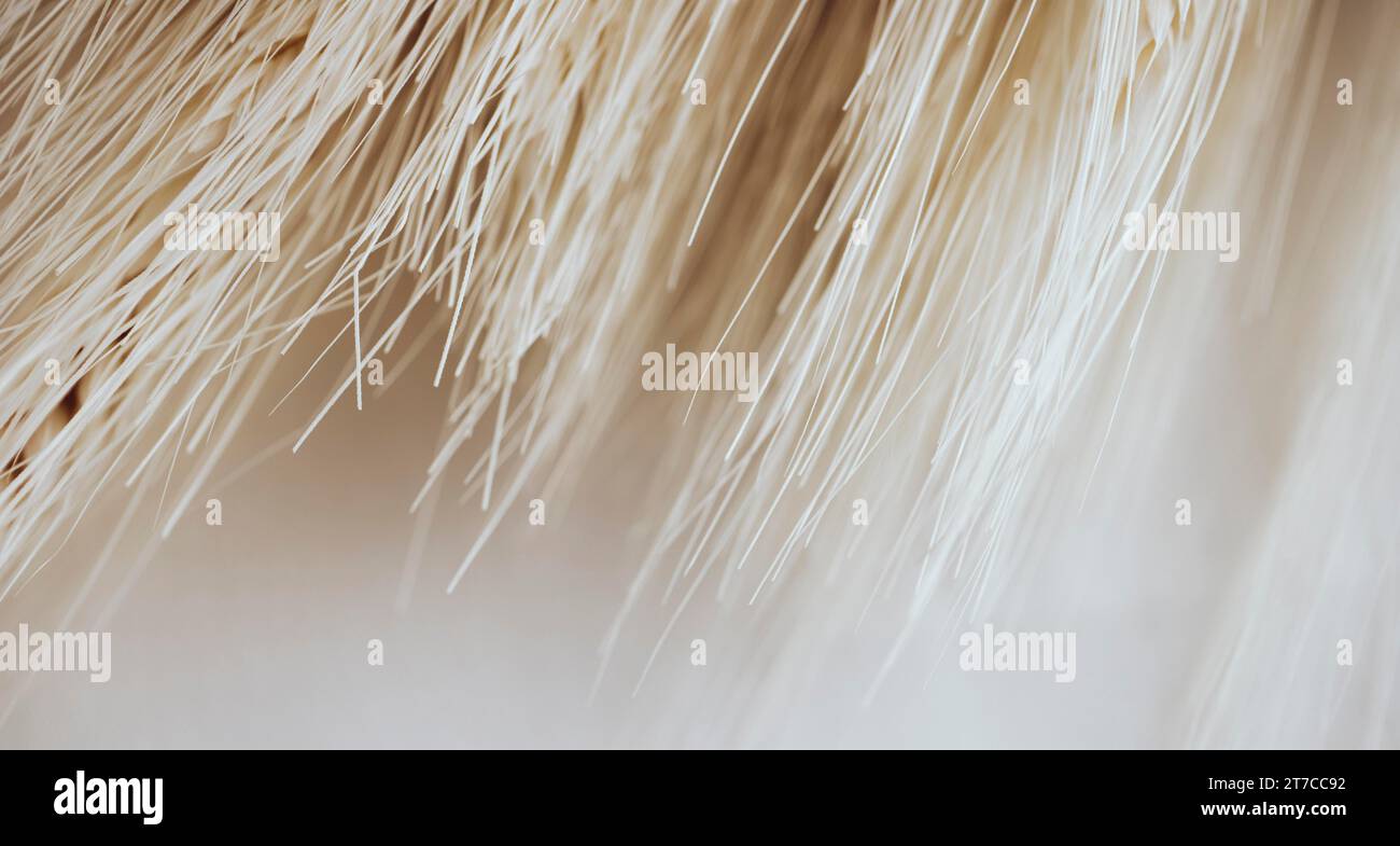 Loop fibers hi-res stock photography and images - Alamy