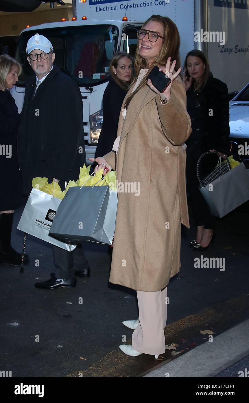 November 14, 2023 Brooke Shields attends The 17th Annual Hope Luncheon
