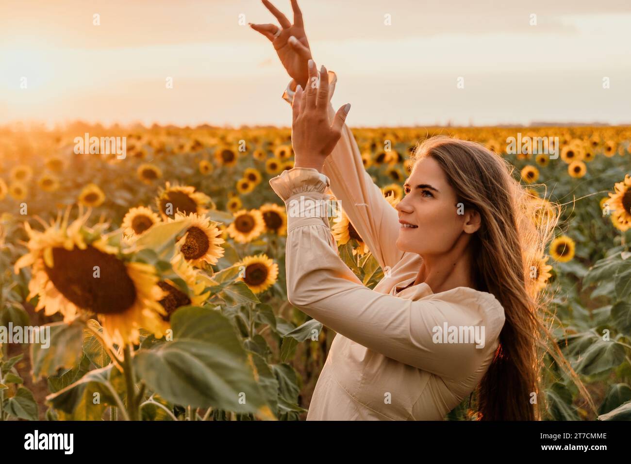 Woman in Sunflower Field: Happy girl in a straw hat posing in a vast ...