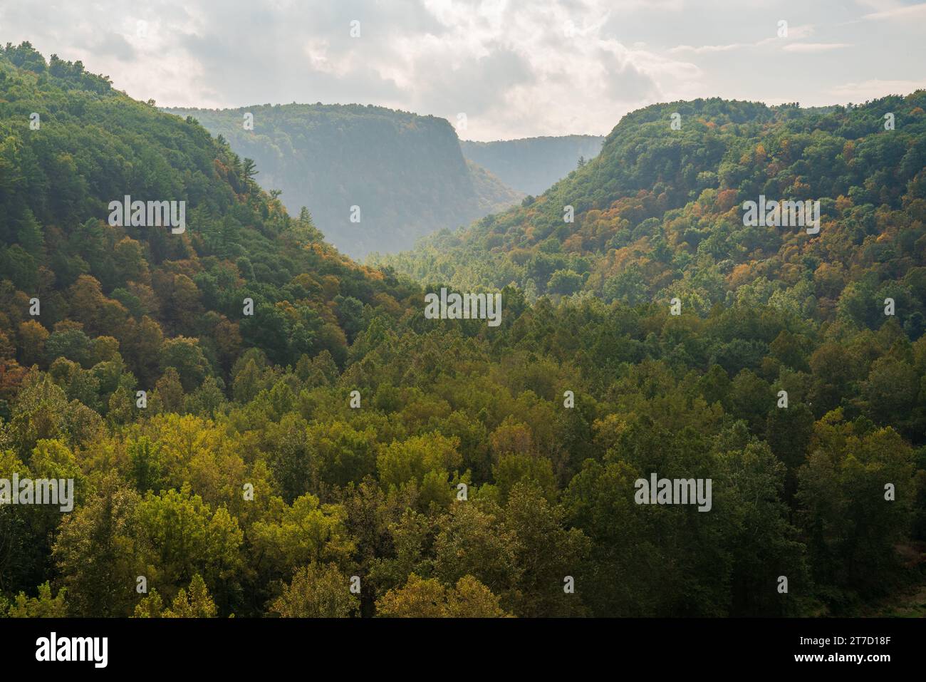 "Grand Canyon of the East", Letchworth State Park in New York State Stock Photo