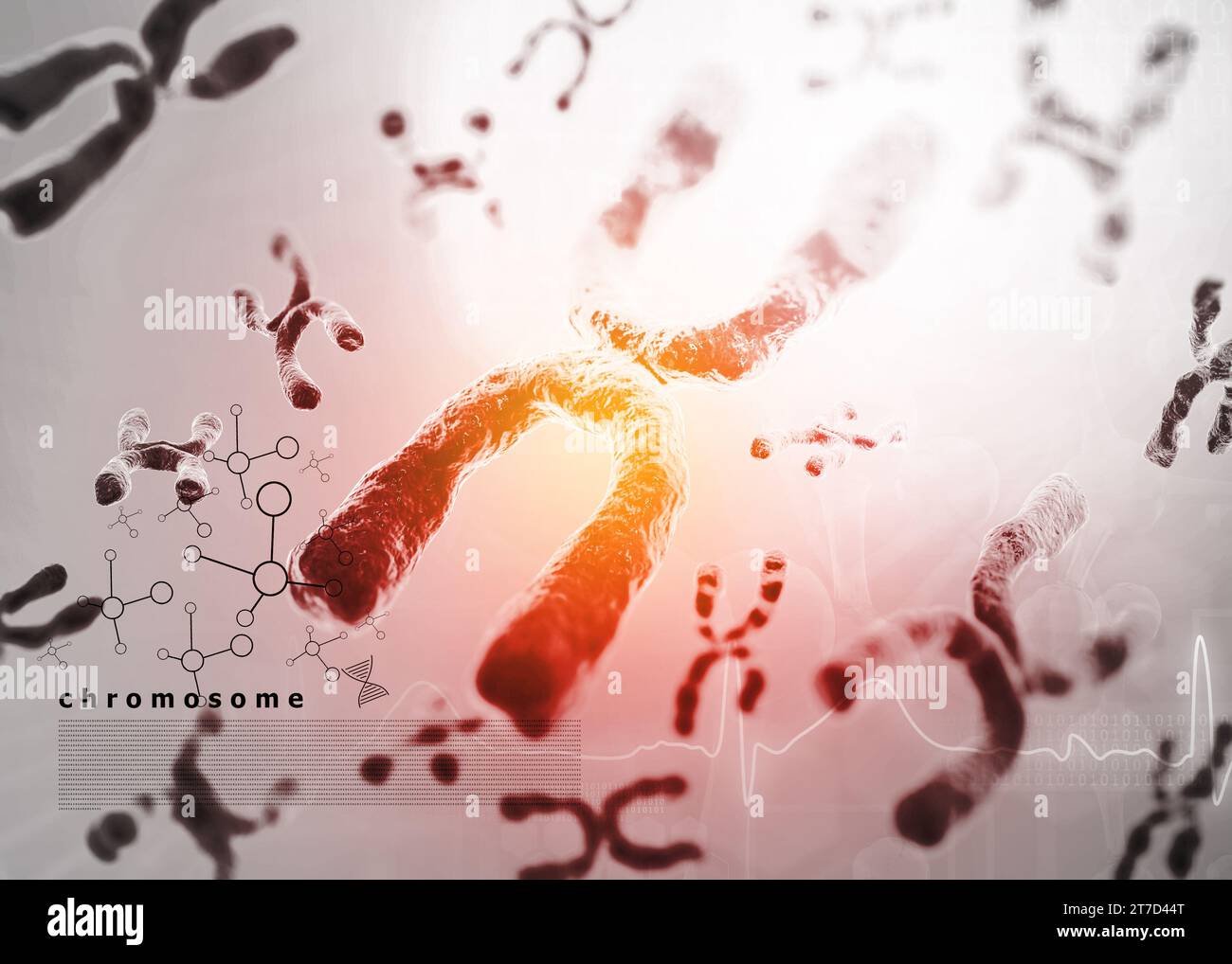 XY chromosomes background. 3d illustration Stock Photo