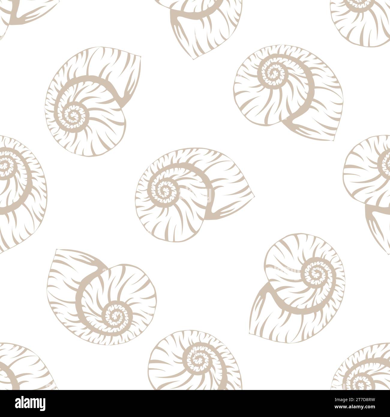 Seamless pattern with shells. Background with seashell on white. Texture of a tropical sea mollusk or snail with a spiral shell. Vector illustration. Stock Vector