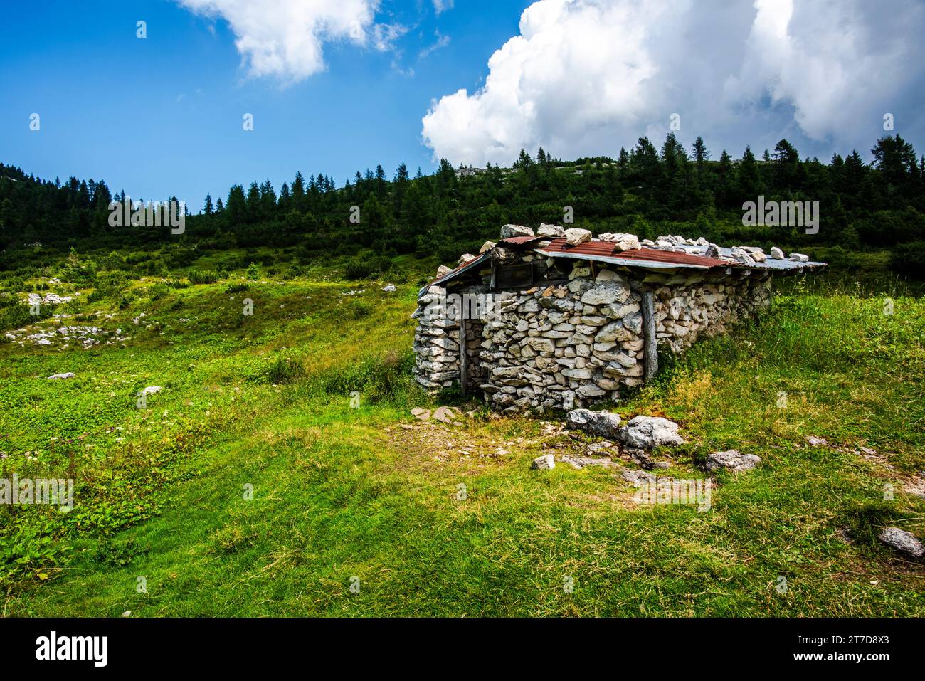 alpine refuge at Mount Ortigara, theater of the First World War, among green fields and grazing meadows on the atypical Asiago plateau Vicenza Veneto Stock Photo