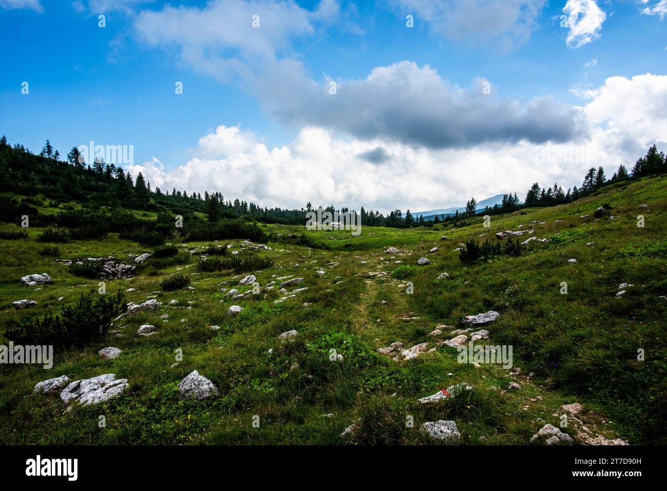 alpine refuge at Mount Ortigara, theater of the First World War, among green fields and grazing meadows on the atypical Asiago plateau Vicenza Veneto Stock Photo