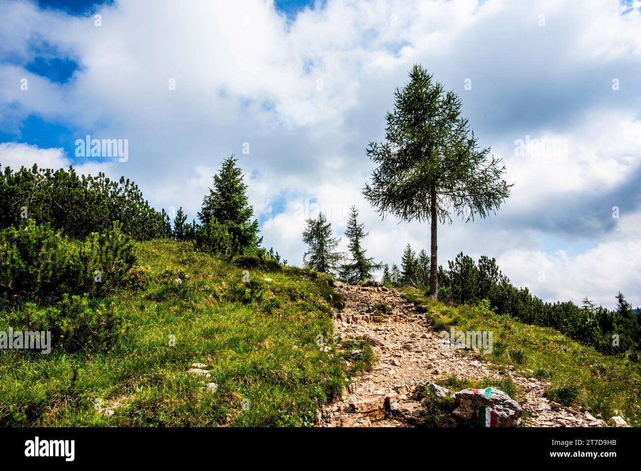 summer view of Mount Ortigara with blue sky and First World War fortifications on the Asiago plateau Vicenza Veneto Italy Stock Photo