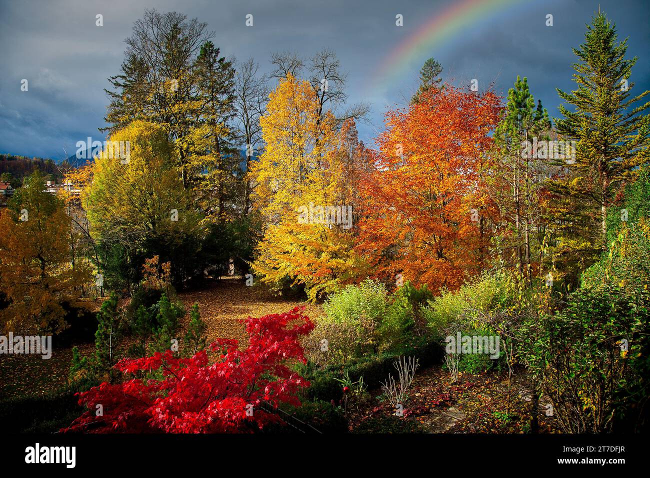 DE - BAVARIA: Last of the Summer Wine (Private autumnal garden scene along river Isar, Bad Toelz, Oberbayern) Stock Photo