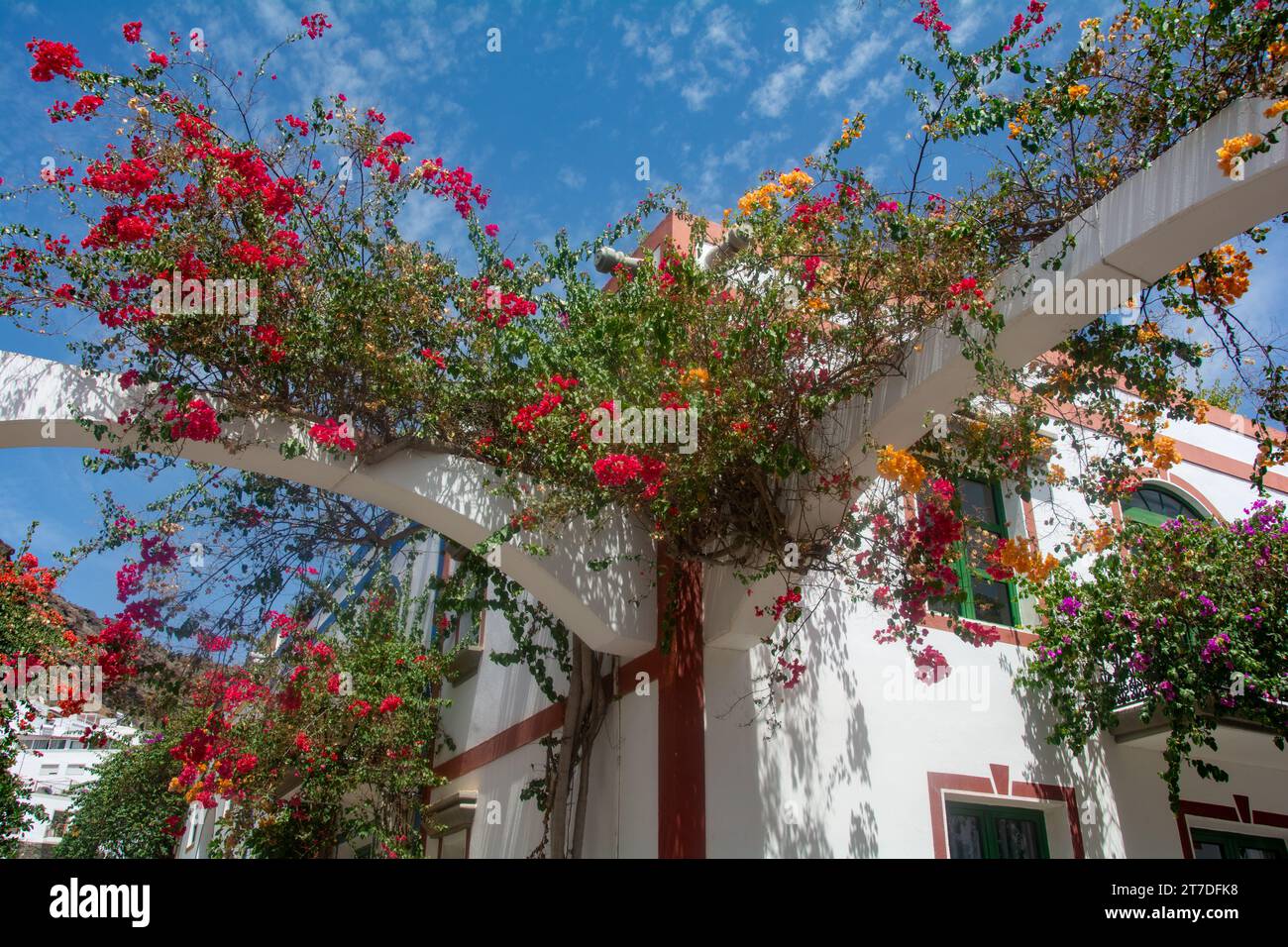 Flowers on the houses in the romantic  fishing  village of Puerto de Mogán on the Canary Island of Gran Canaria in Spain Stock Photo