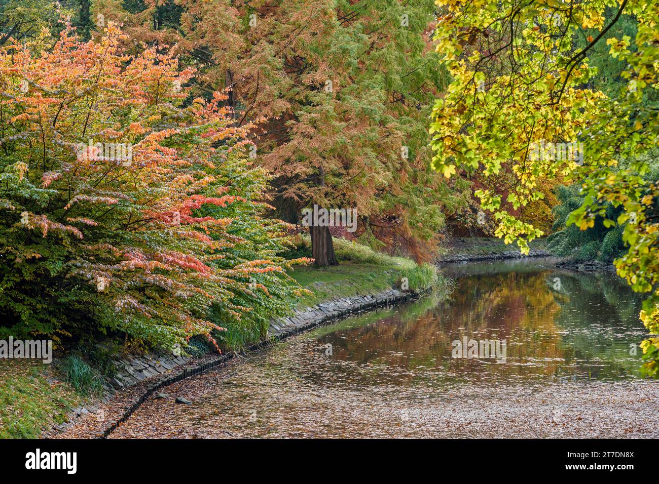 Rich superb multicolor autumn fall in Szczytnicki Park Wroclaw Lower Silesia Poland Stock Photo