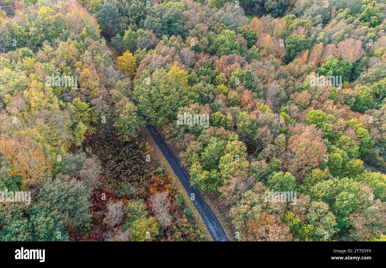 Aerial view dense autumn forest hi-res stock photography and images - Alamy