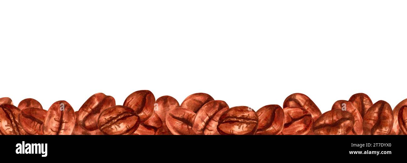 Seamless border of coffee beans. Aromatic varieties of Robusta and ...