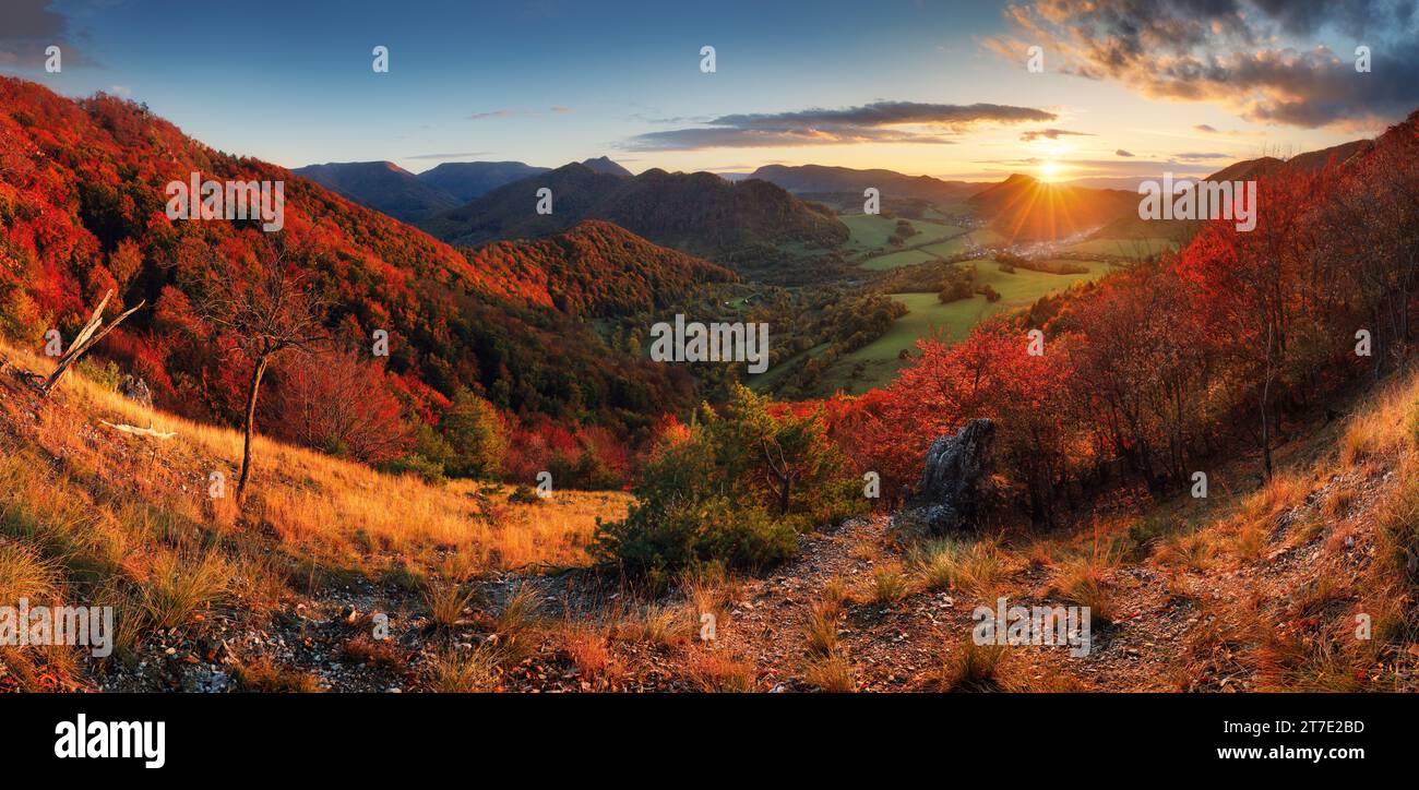 Autumn mountain panorama with red autum trees. Stock Photo
