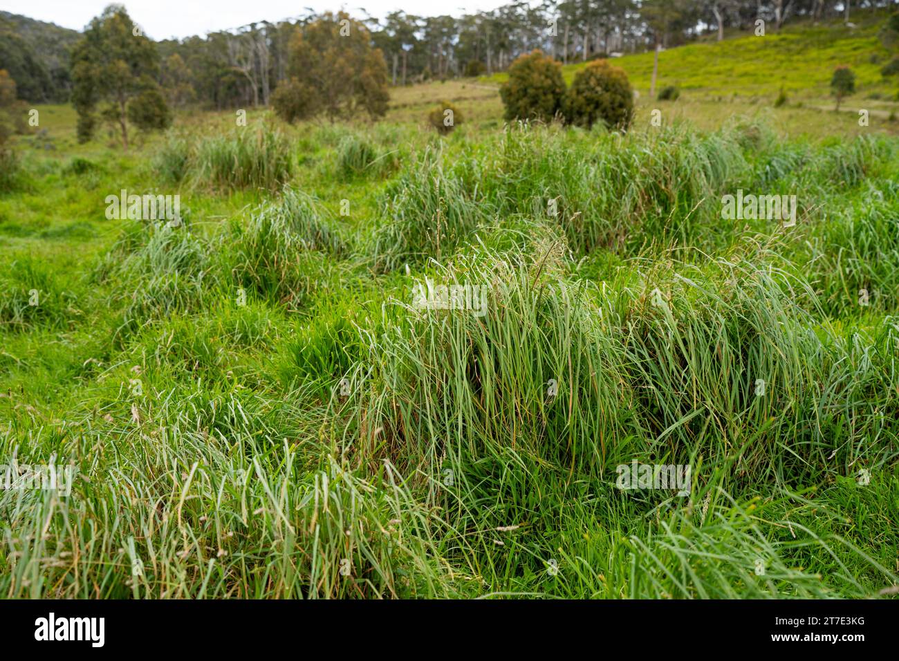 Regenerative agriculture flowers hi-res stock photography and images ...