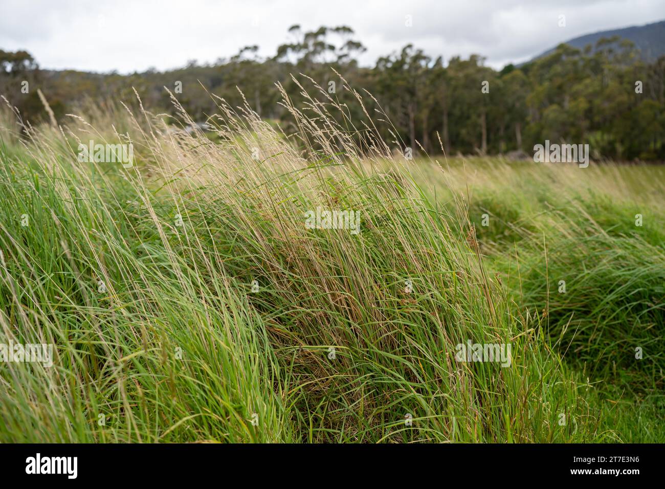 Hong kong and colombia hi-res stock photography and images - Alamy