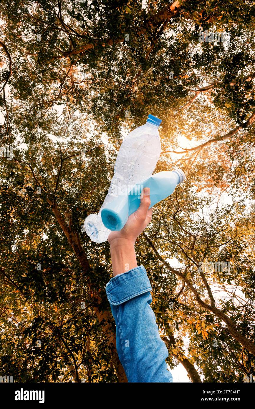 Hands of a tourist or volunteer Collecting trash from plastic water bottles in the forest Stock Photo