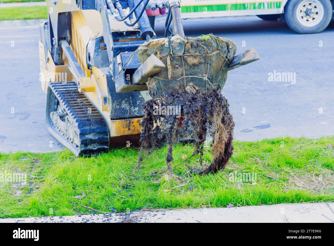 Tree seedlings are being planted in garden by landscaper using tractor near house Stock Photo