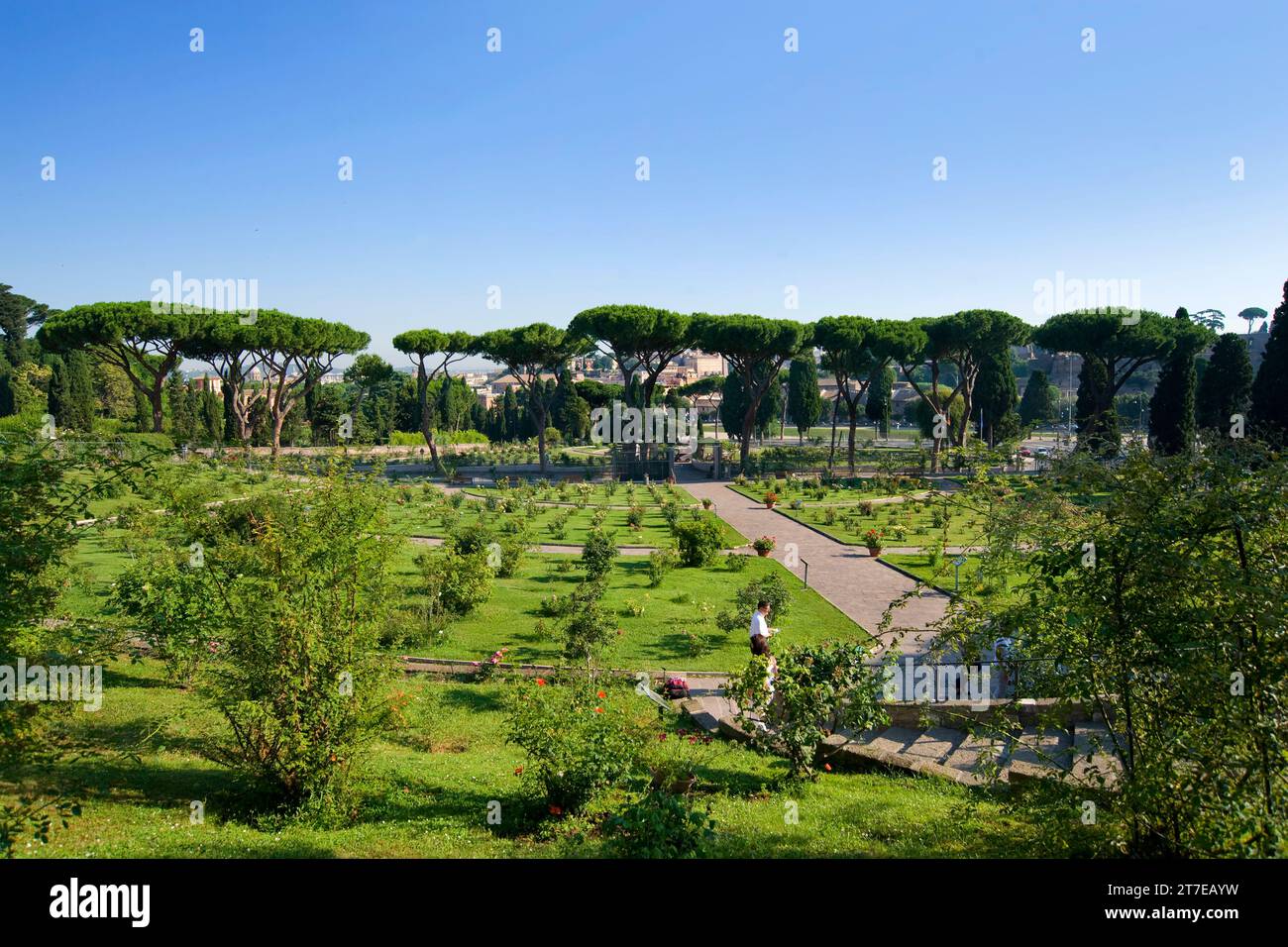Municipal Rose Garden of Rome. Ancient Site of the Jewish Cemetery. Rome. Lazio. Italy Stock Photo