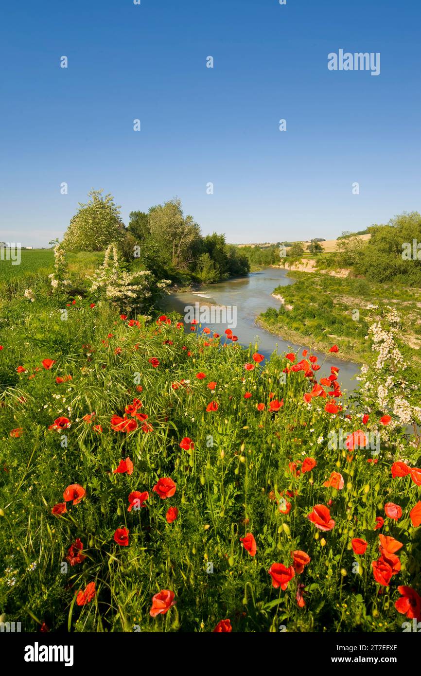 Ripabianca hi-res stock photography and images - Alamy