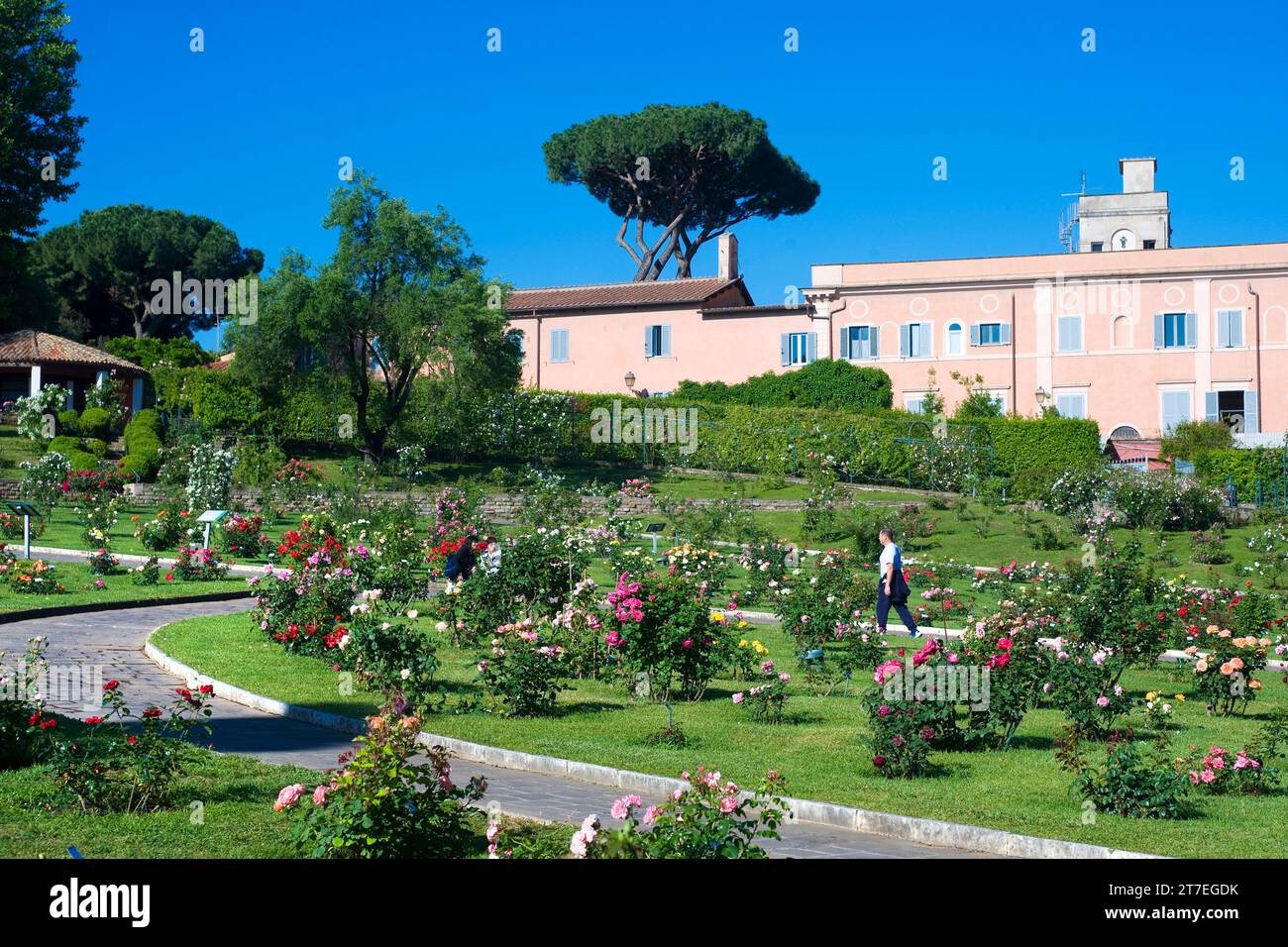 Municipal Rose Garden. Rome. Lazio. Italy Stock Photo