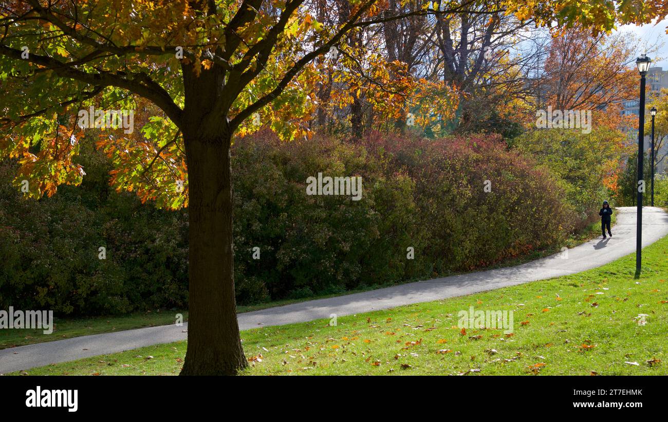 Walking in the public park in autumn - healthy lifestyle Stock Photo