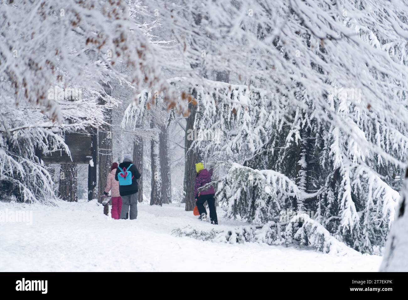 Family walking outside in park hi-res stock photography and images - Alamy