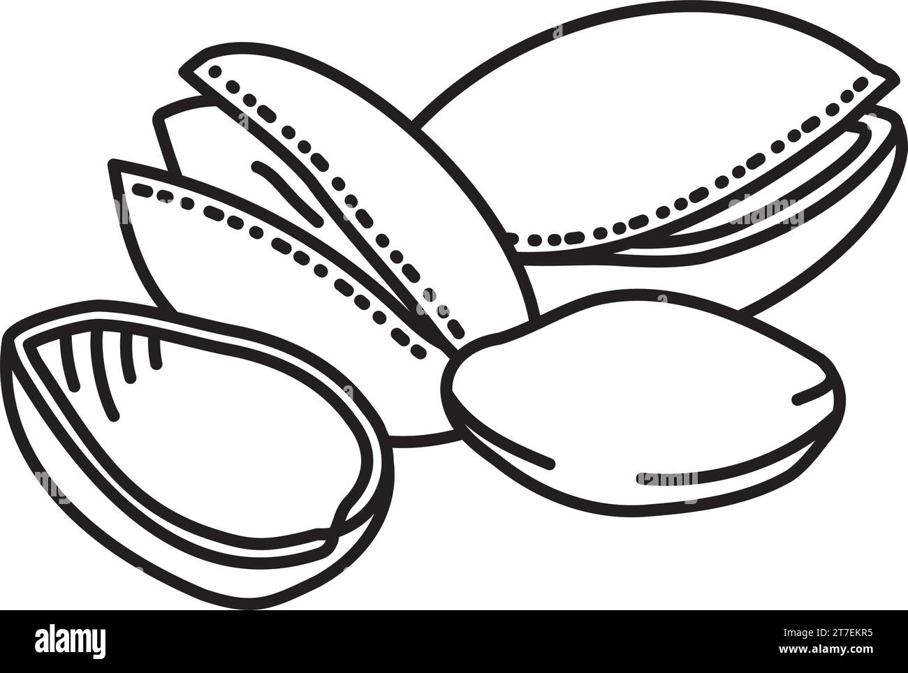 Pistachio nuts vector line icon for national Pistachio Day on February