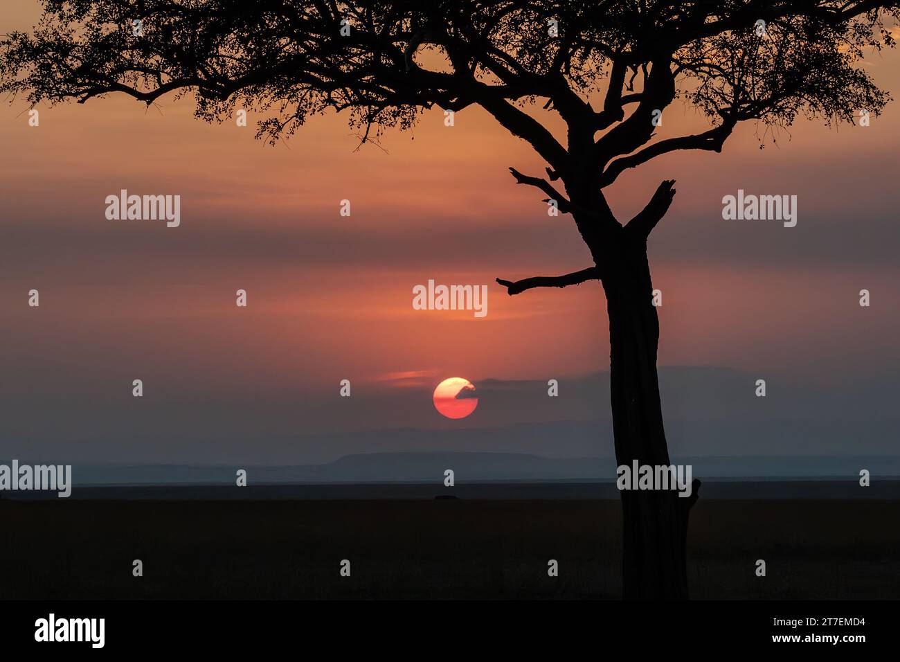 Serengeti sunset hi-res stock photography and images - Alamy