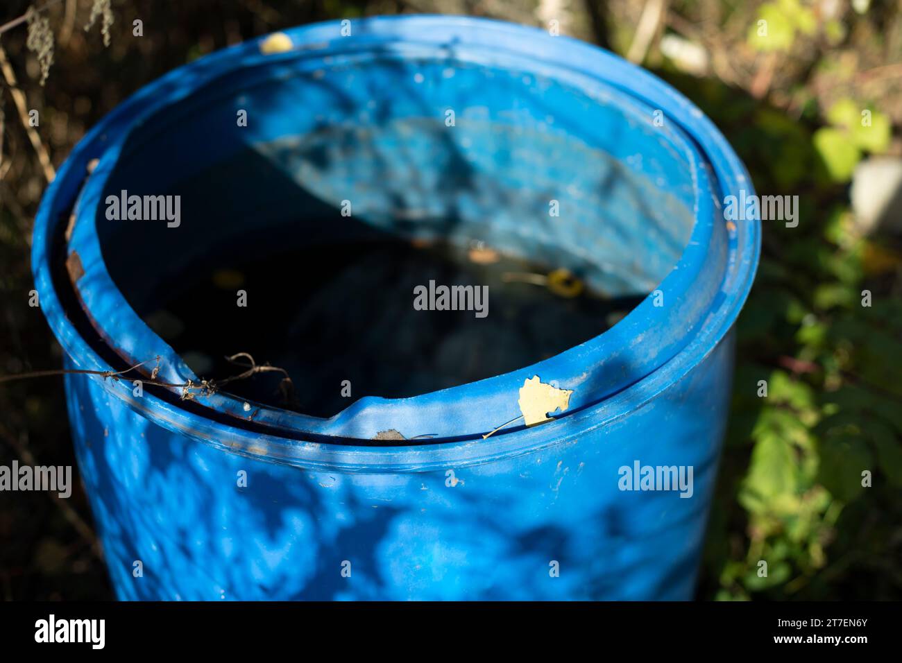 Blue barrel for water. Garden tool. Rainwater harvesting in summer Stock Photo Alamy