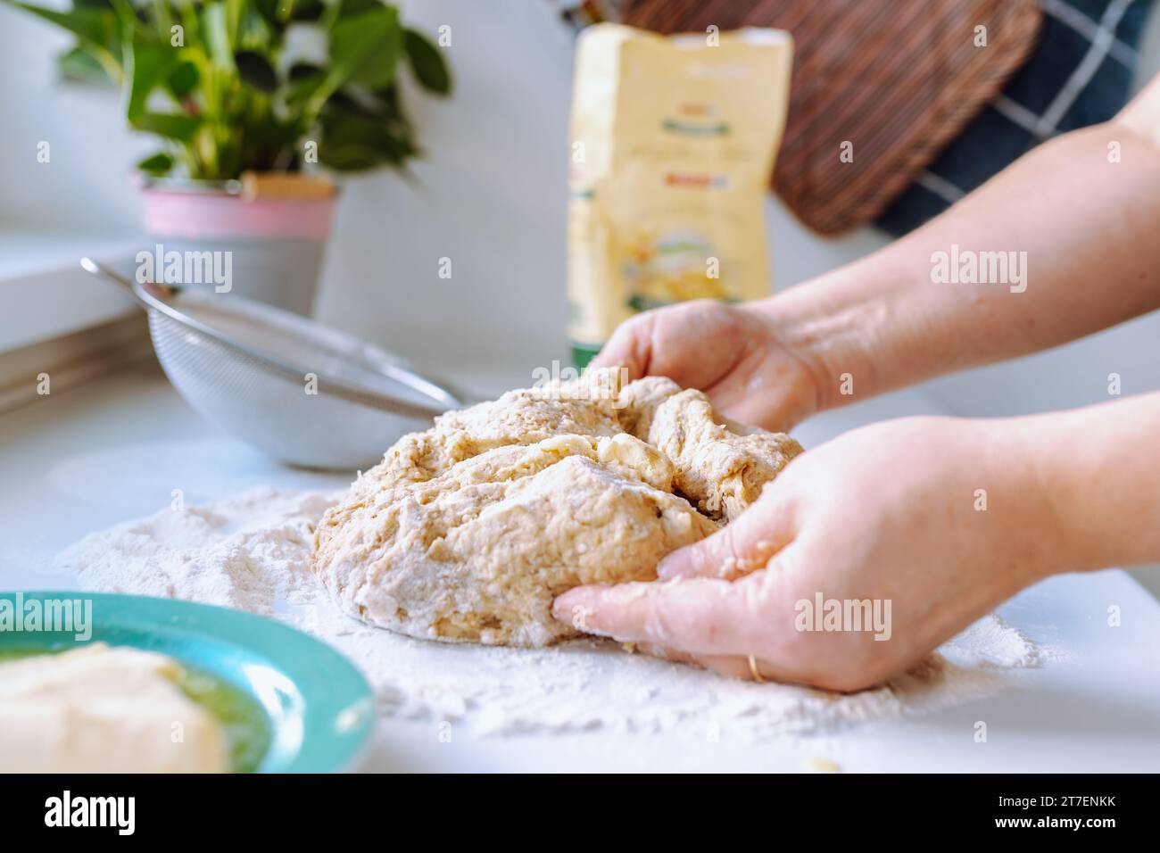 View of Female hands kneading dough Stock Photo - Alamy