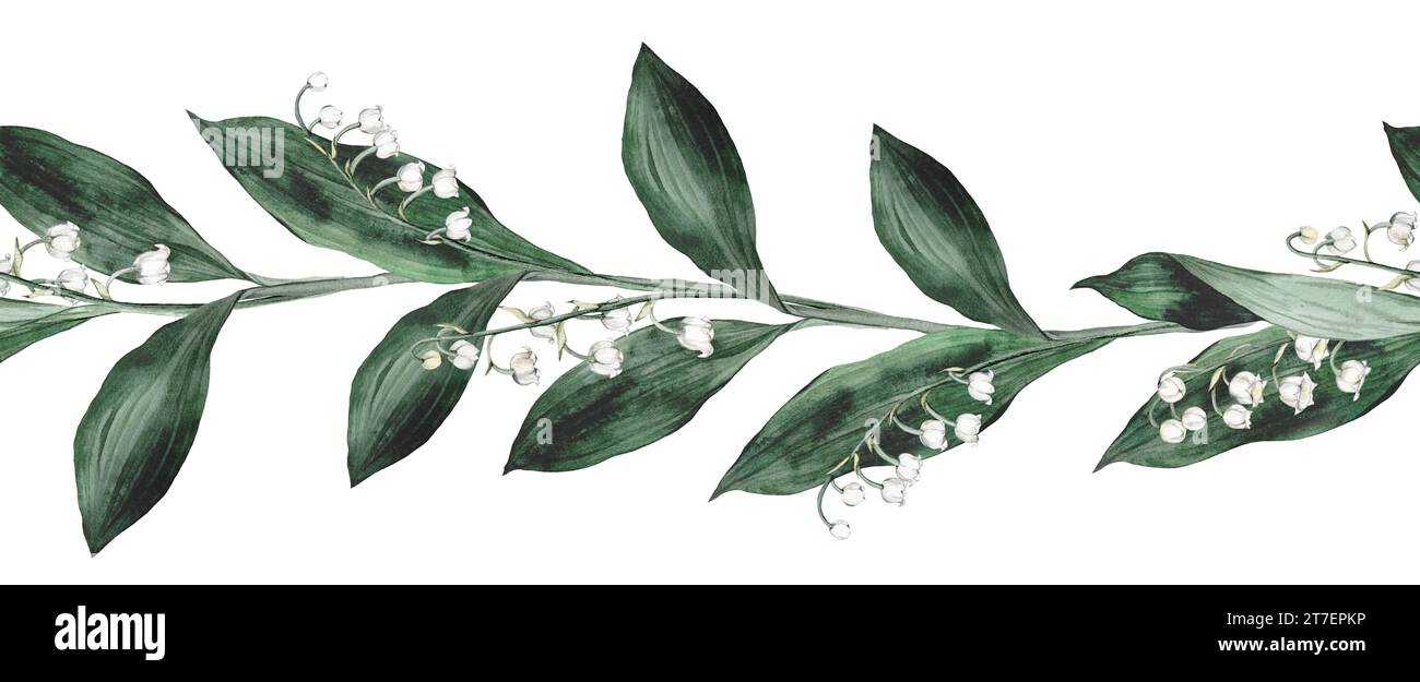 Watercolor border illustration lilies of the valley with white flowers ...