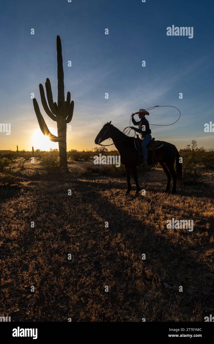 Hunter Cooley with his rope, White Stallion guest ranch, Marana, Arizona Stock Photo Alamy