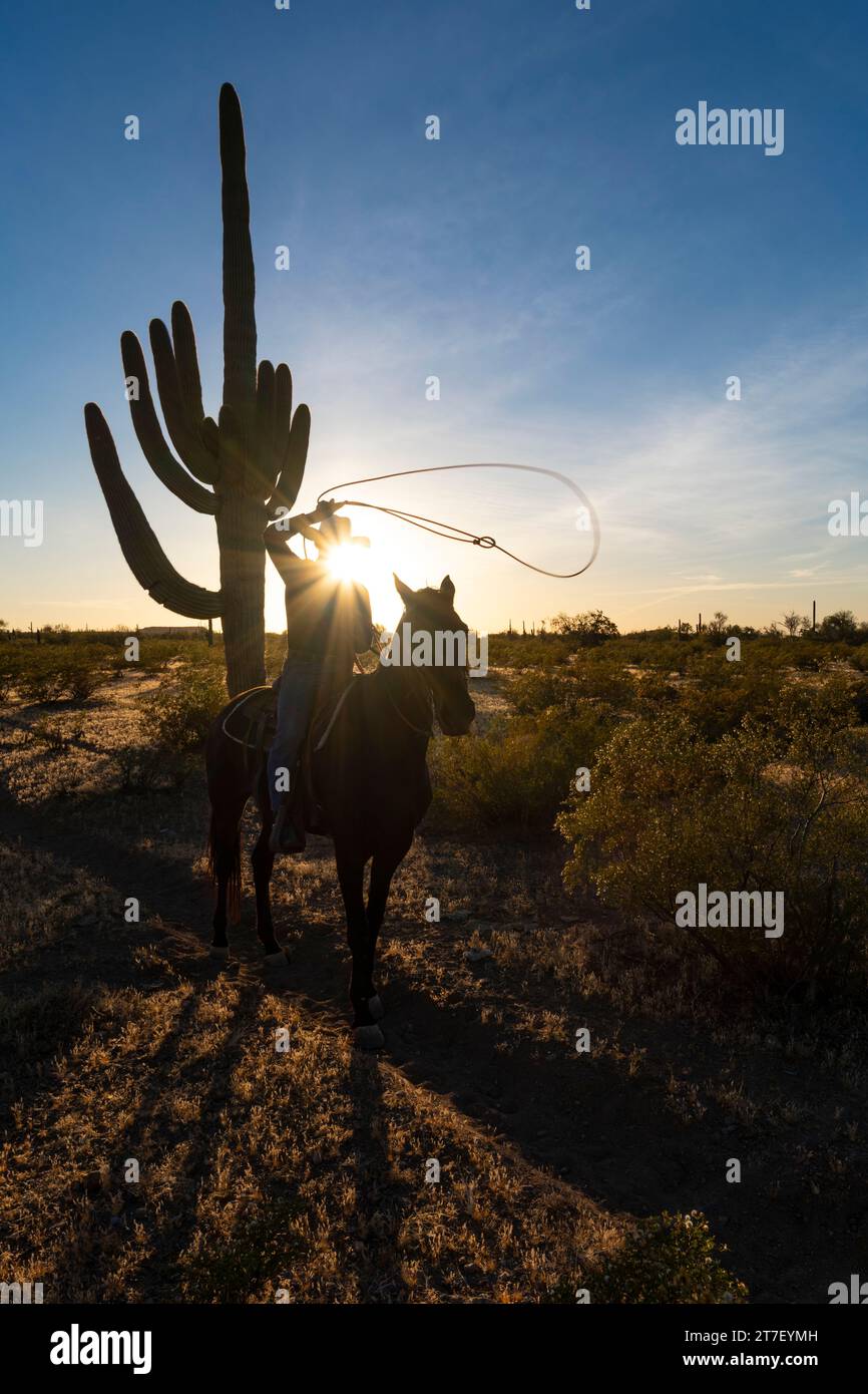 Hunter Cooley with his rope, White Stallion guest ranch, Marana, Arizona Stock Photo Alamy