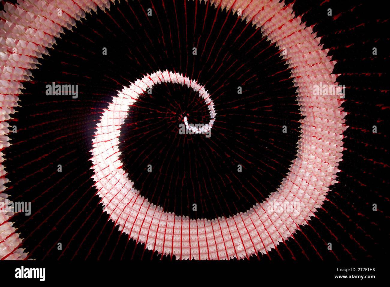 Digital art balloons hi-res stock photography and images - Alamy