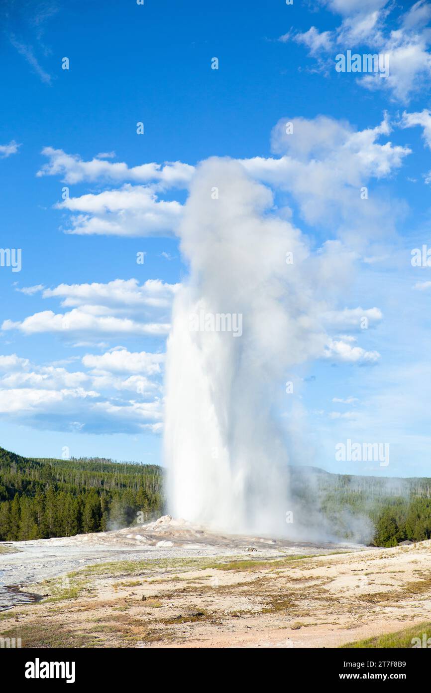 the old faithful geyser erupting in Yellowstone National Park Stock Photo