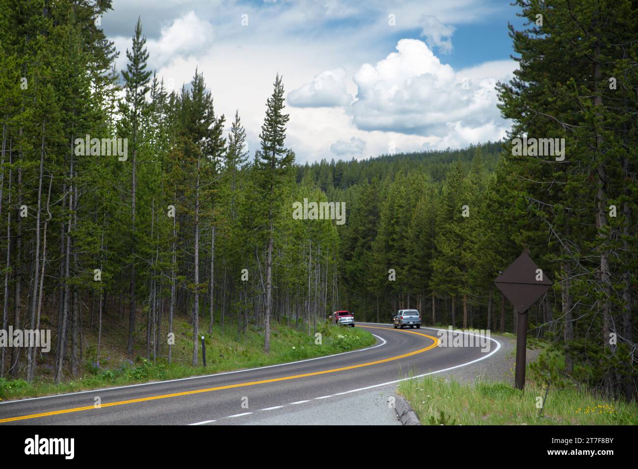 a curved road cross through pine forest in Yellowstone National Park Stock Photo