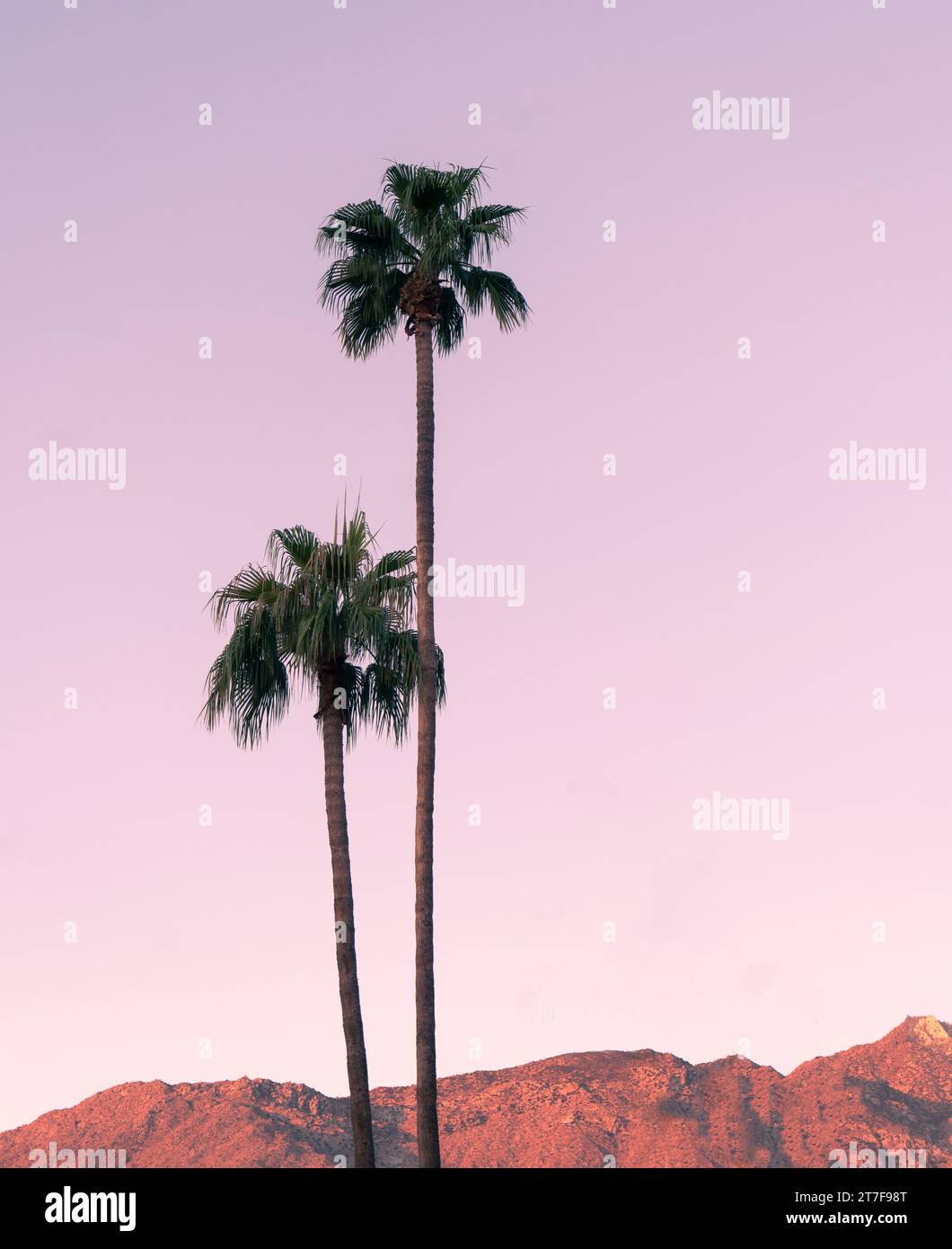Miami inspried hires stock photography and images Alamy